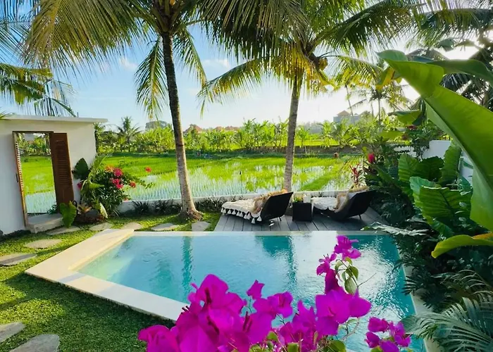 Honeymoon Private Pool Rice View Сasa de vacaciones *