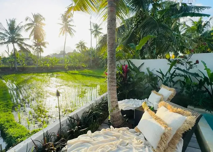 Honeymoon Private Pool Rice View